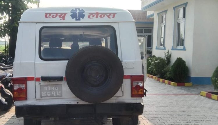 inbound6498524382020089152